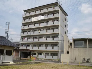 パレイシャル精華の画像