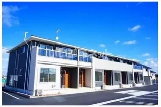 サイネリアの画像