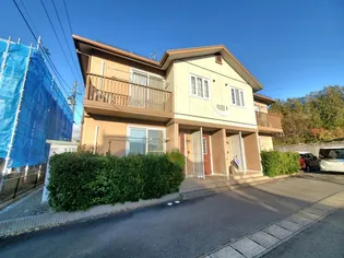 オーキッドBの画像