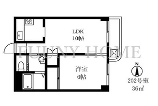 STハイツ【2階】の間取り