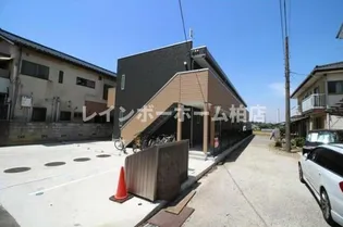 ブラックサンモール秋山の画像