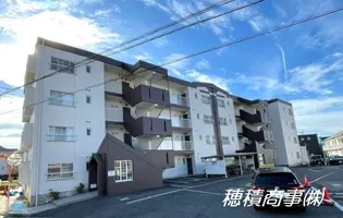 ファミール白針の画像