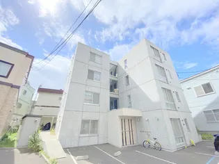 バンビーニNの画像