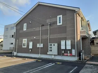 サン バーディの画像