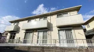 F SUNNYの画像