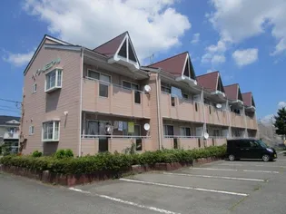 ハイツ・ルミエール【1階】の外観