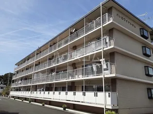 パレロワイヤルの画像