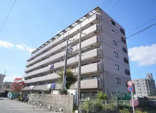 グレースマンション藤【7階】の外観