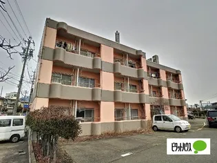 ドムス・ミワ 東館【3階】の外観