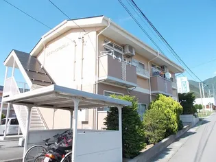 サンシャインアップル Bの画像