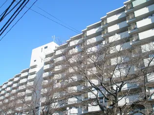 上高田4丁目団地1号棟の画像