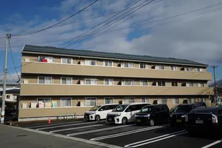 セレッソ花楯88の画像