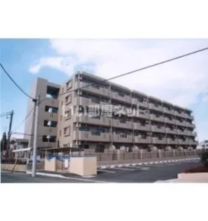 Y&MドリームIIIの画像