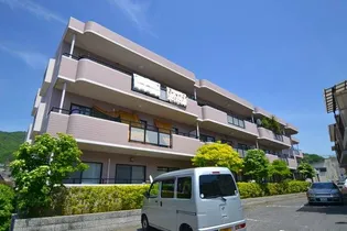 メモリーさくらの画像