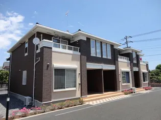 ブルーベルの画像