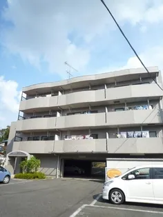 セレス 菅田の画像