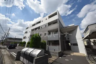 エトルリア MIHOの画像