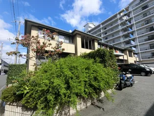 ルミナスコートの画像