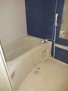 プラシードII【2階】の風呂