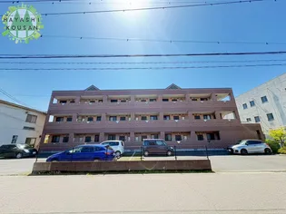 サングリーンズの画像