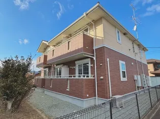 アカシアの画像