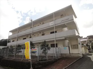 ルネサンス清水の画像