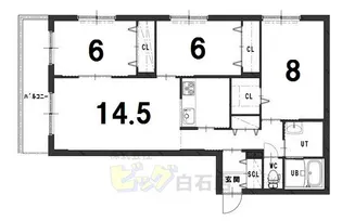 グランメールアサヒV【3階】の間取り
