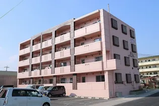 アカラ ピリラニの画像