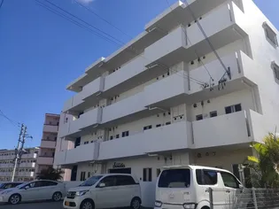 サーナティオの画像