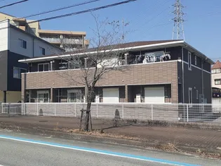 スターリーヒルズの画像