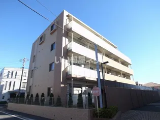 グラース ベル ウッドの画像