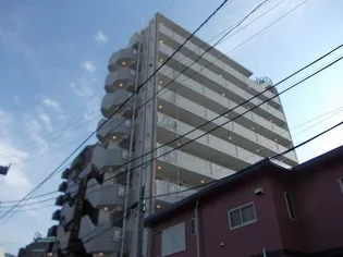 キアーラの画像