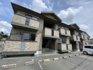 ウィルモア世安の画像