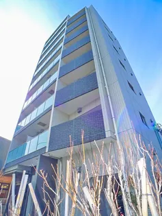 MAXIV一之江【8階】の外観