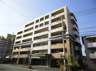 フリーリー守恒の画像
