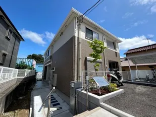 クリンティの画像