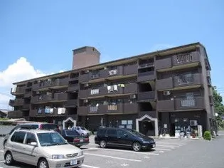 メゾン城北の画像