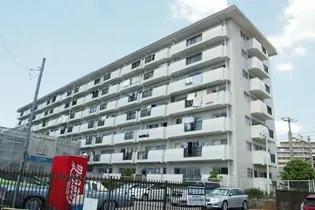 小根本コンドの画像