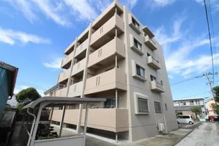 オスマンサス Tの画像