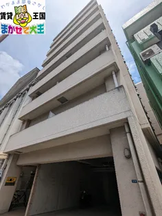コートさくらの画像
