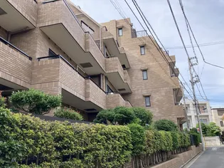 ライオンズガーデン駒込の画像