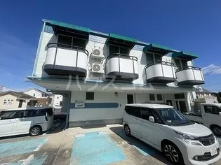 STINの画像