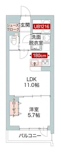 カンパ イオルネ【5階】の間取り