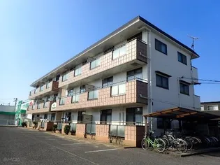 ハイツサンシャイン【3階】の外観