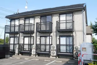 フェレットIIの画像