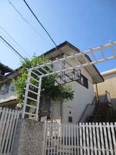 エーデルワイスの画像