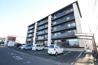 サン リバティの画像