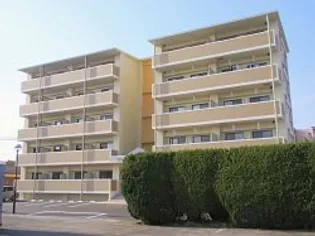 ニューグランドノガミの画像