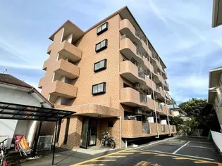 エクセラン境の画像