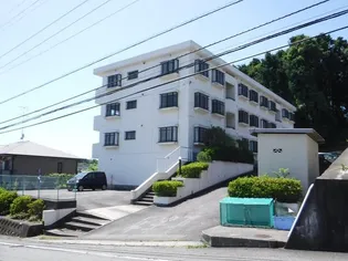 サンライズ湘南の画像